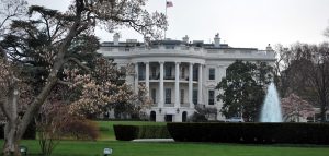 the white house in springtime