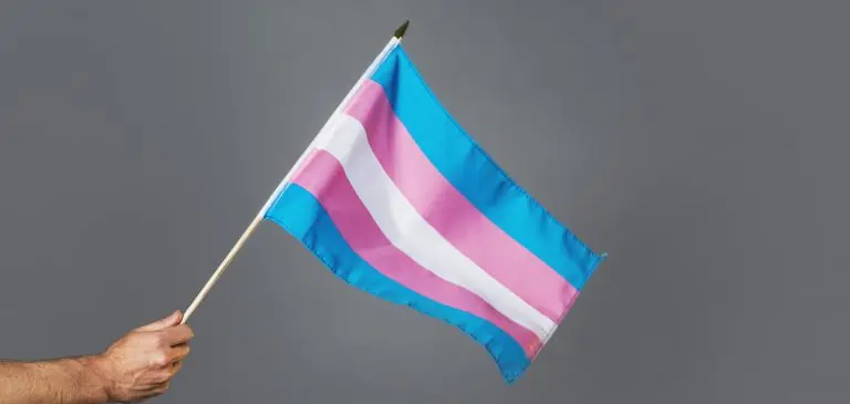 a person waving a transgender pride flag
