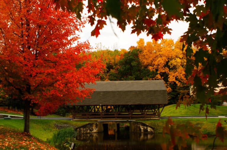 autumn leaves and a covered bridge