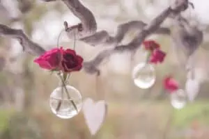 Roses in glass bulbs hanging from trees with hearts