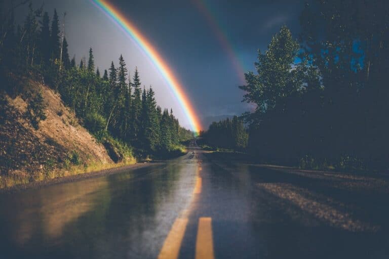 a tree-lined road towards a bright rainbow