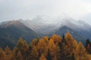 misty mountains in fall